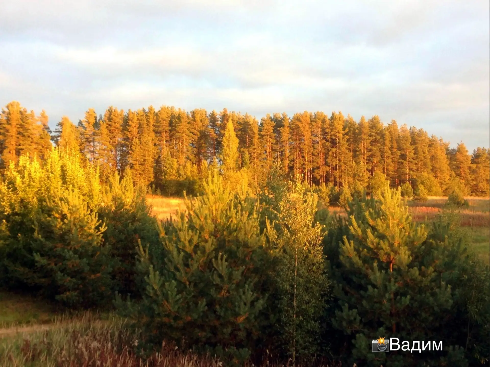 Доброе утро, Колтуши! 😎Хорошего дня! 🍁