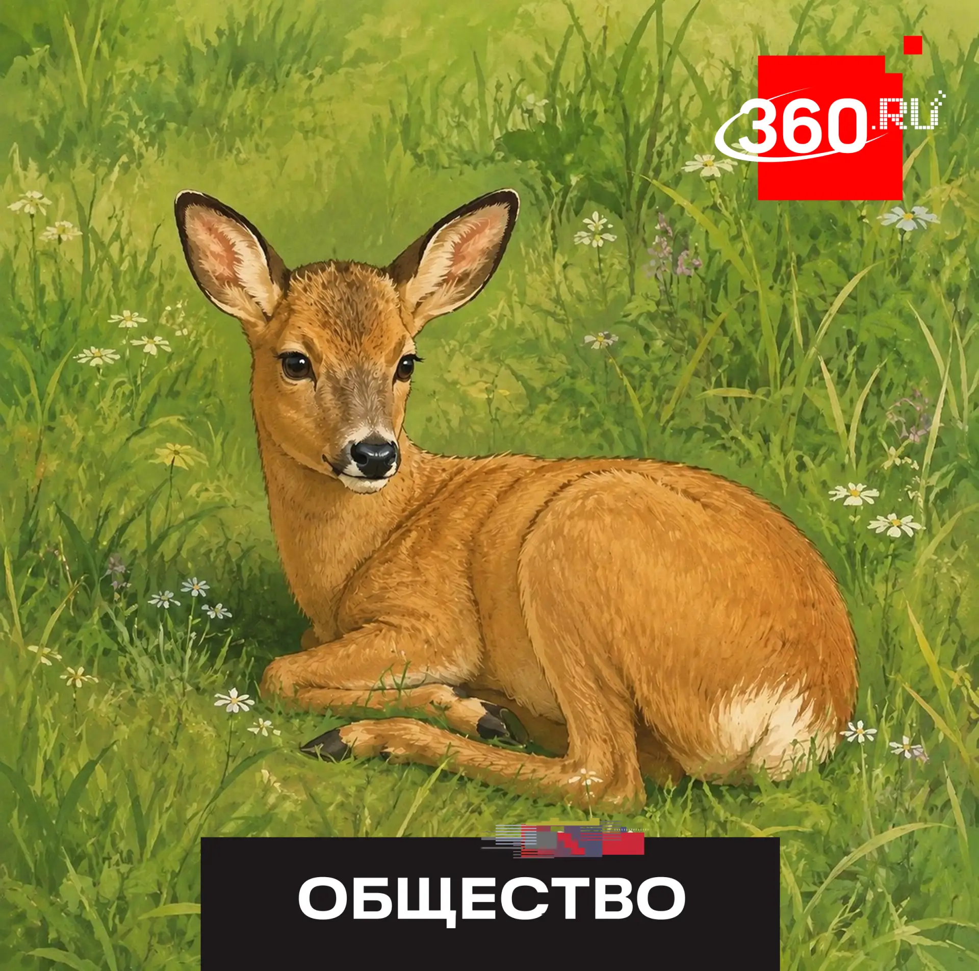 Мужчина пытался спасти «заболевшую» косулю.