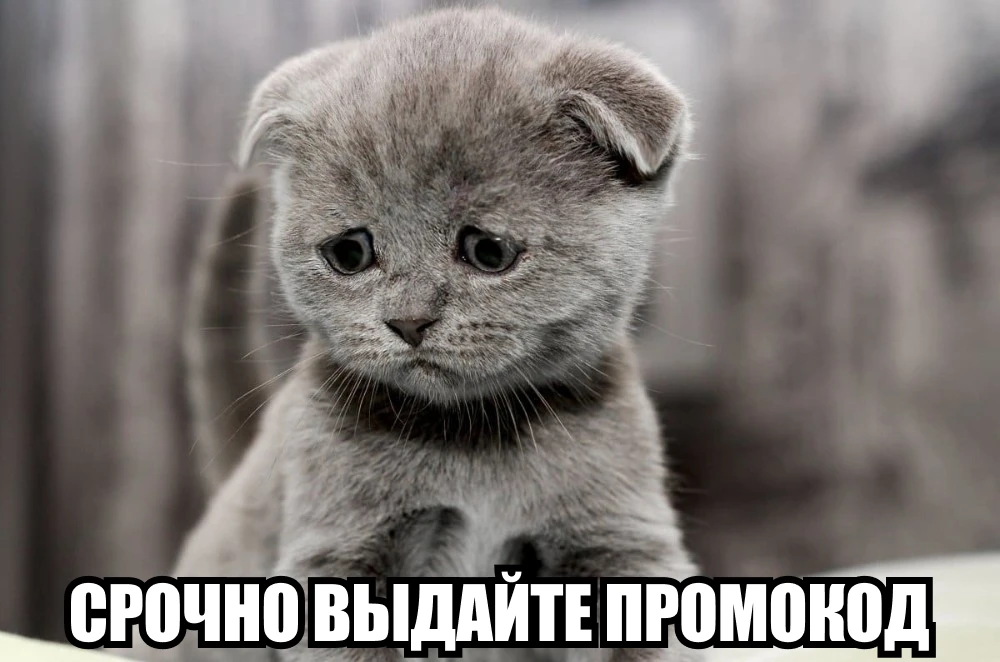 Промокот этому мистеру выдайте чтоб не грустил☹️