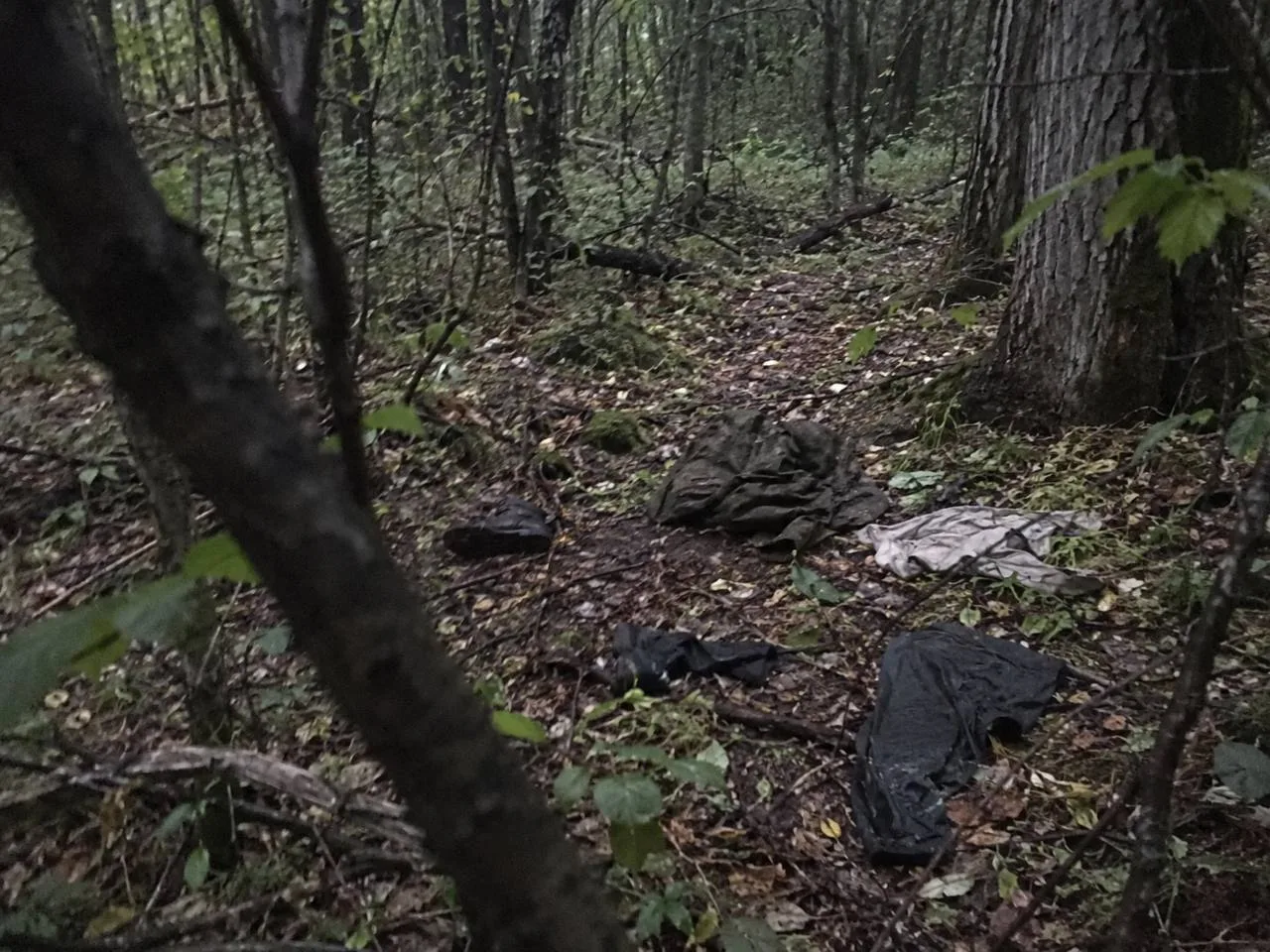 🌲👀 Участника СВО нашли почти раздетым в лесу Приморья — его мать пытается добиться но...