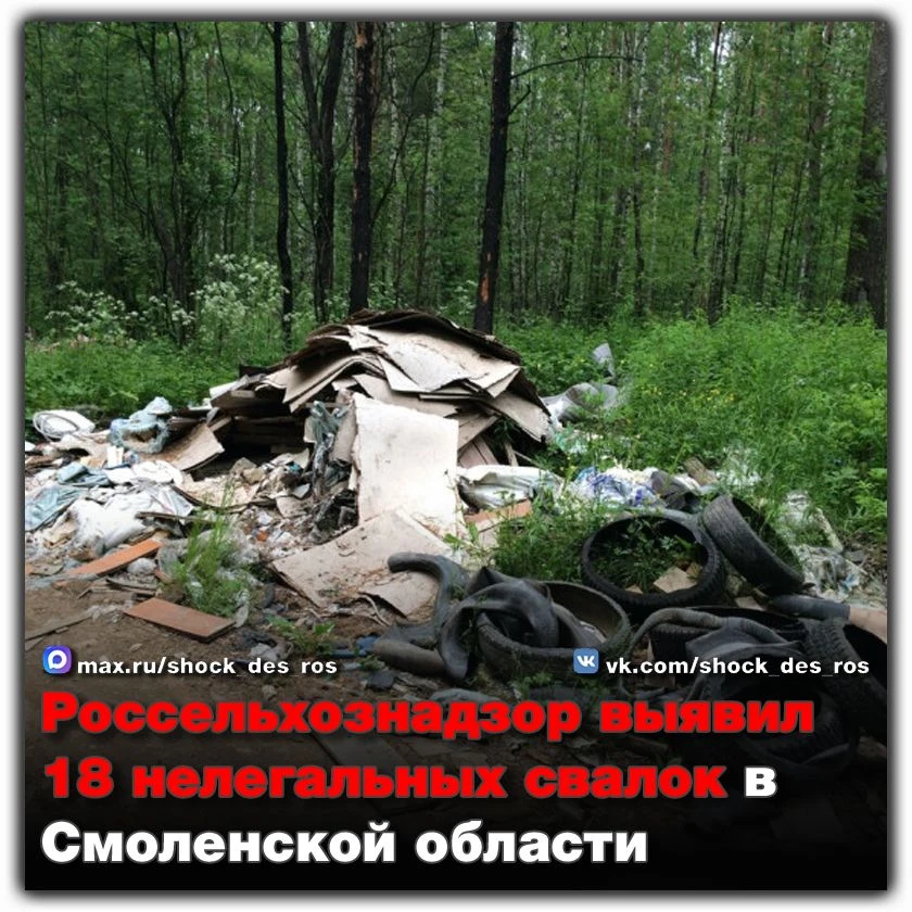 🔴 Россельхознадзор выявил 18 нелегальных свалок в Смоленской области