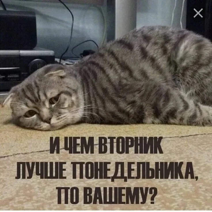 Однако, доброе утро!