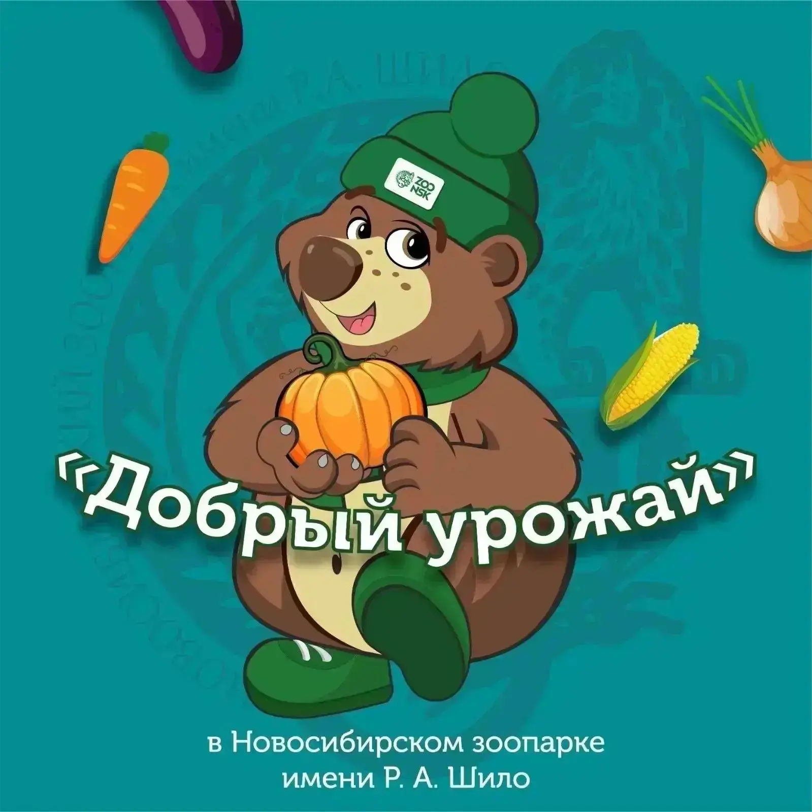 🥕 В Новосибирском зоопарке стартовала ежегодная акция «Добрый урожай»