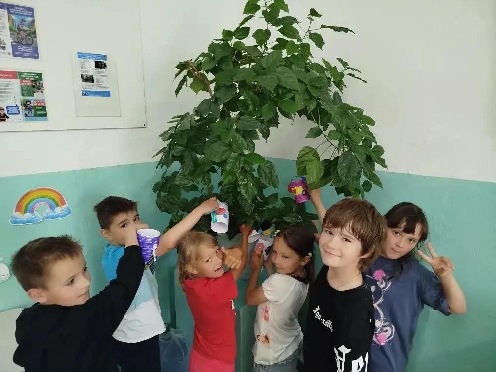 💧 ДЕНЬ ЛЕЙКИ В НАШЕМ ЛАГЕРЕ: БУМАЖНОЕ ЧУДО!

17 июня — необычный день! Оказывается, у такого просто