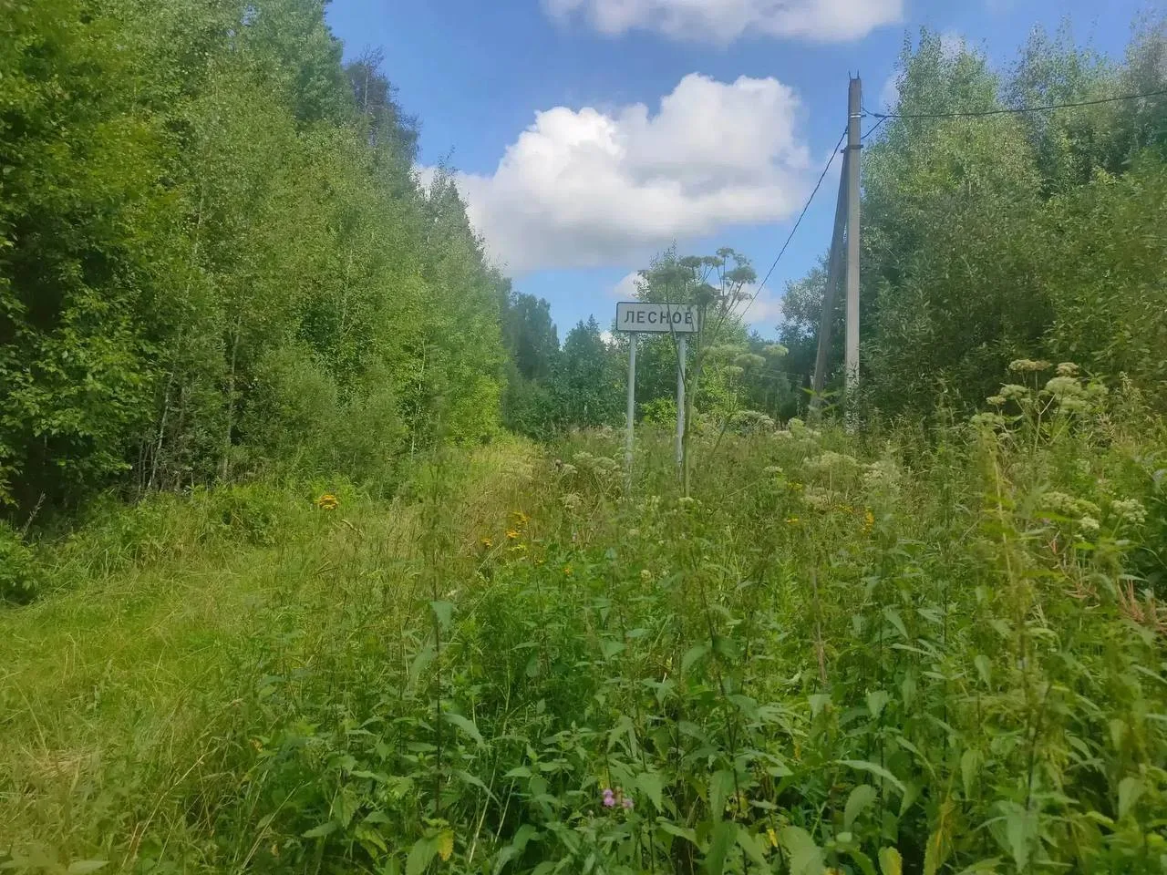 🚧 В Лесном вместо ремонта дороги появились дорожные знаки