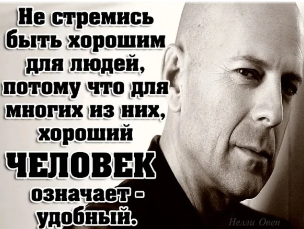 #цитата_дня