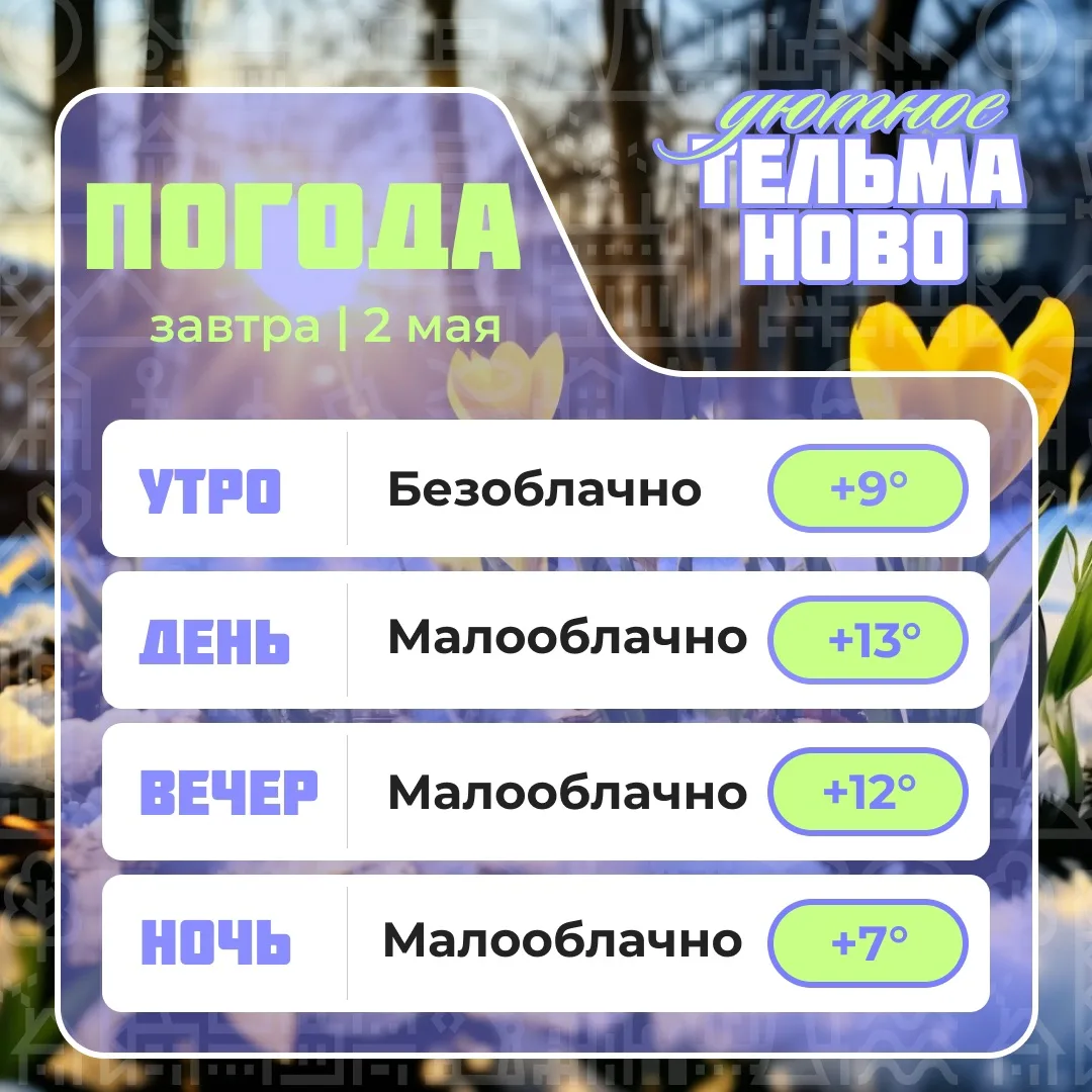 Ваш гид по погоде на завтра🌡