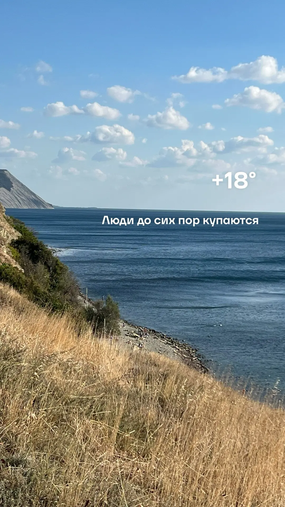 Пошла прогуляться на море🌊