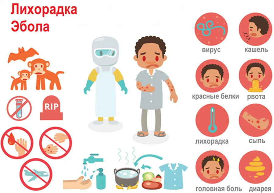 Лихорадка Эбола (вирусная геморрагическая лихорадка)
- Тяжёлое острое вирусное заболевание, вызываем