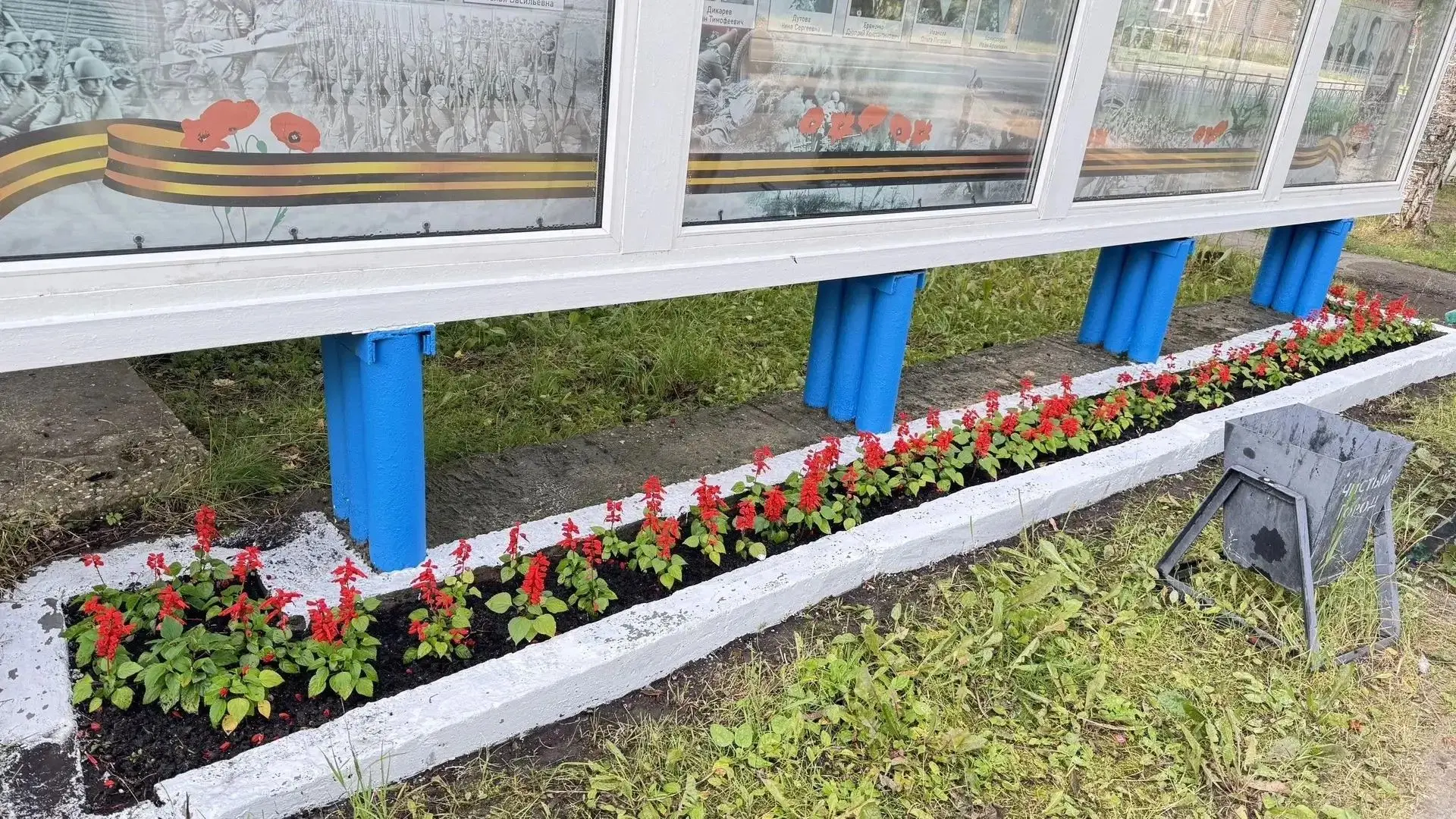 🌸Немного красоты от Горзеленхоза. Сотрудники предприятия продолжают в ежедневном формате ухаживать 