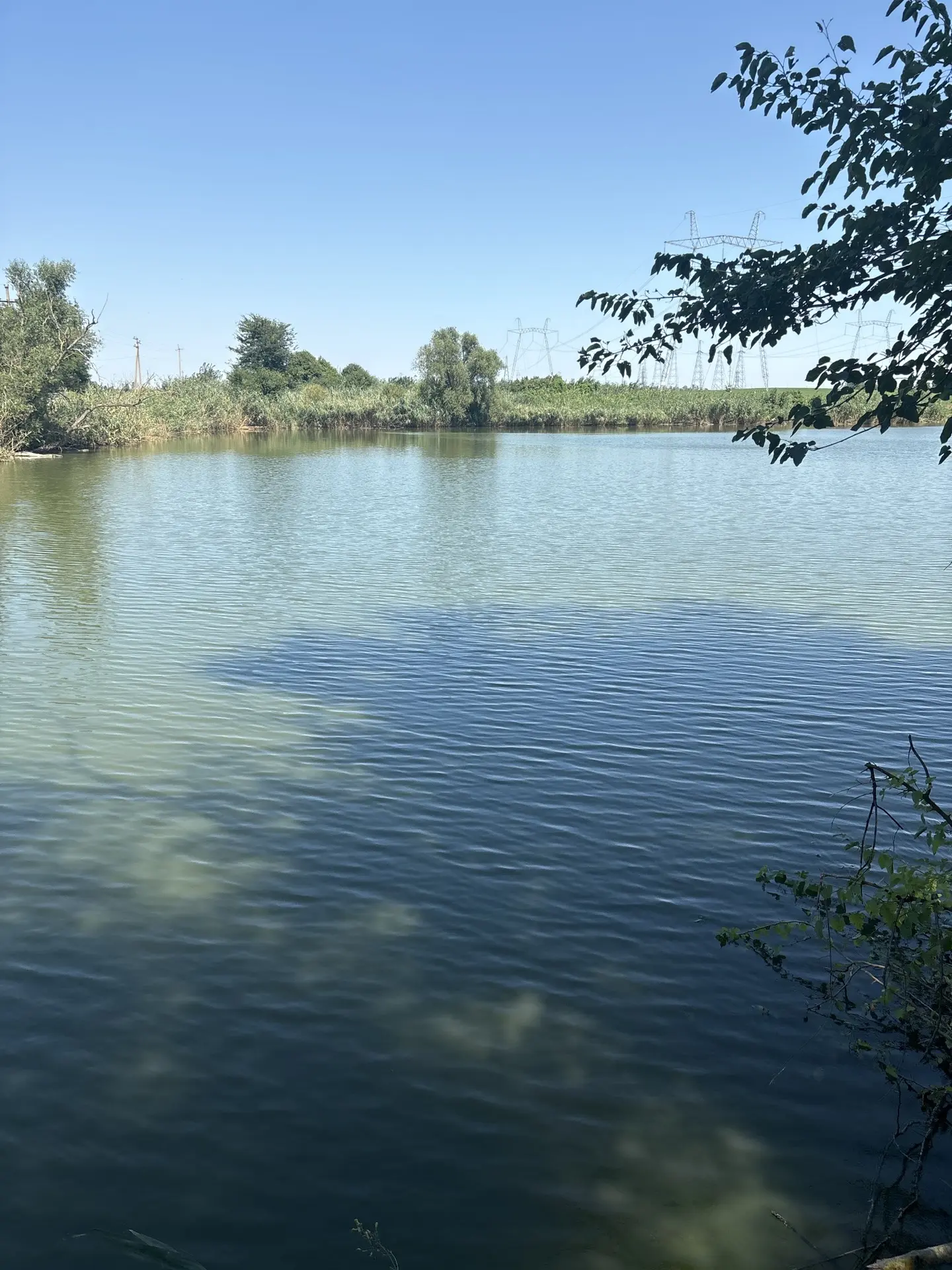 14.08.2026🐠 ловил на одну маховую удочку 🐠 работал червь - опарыш 🐠 людей мало , лов...