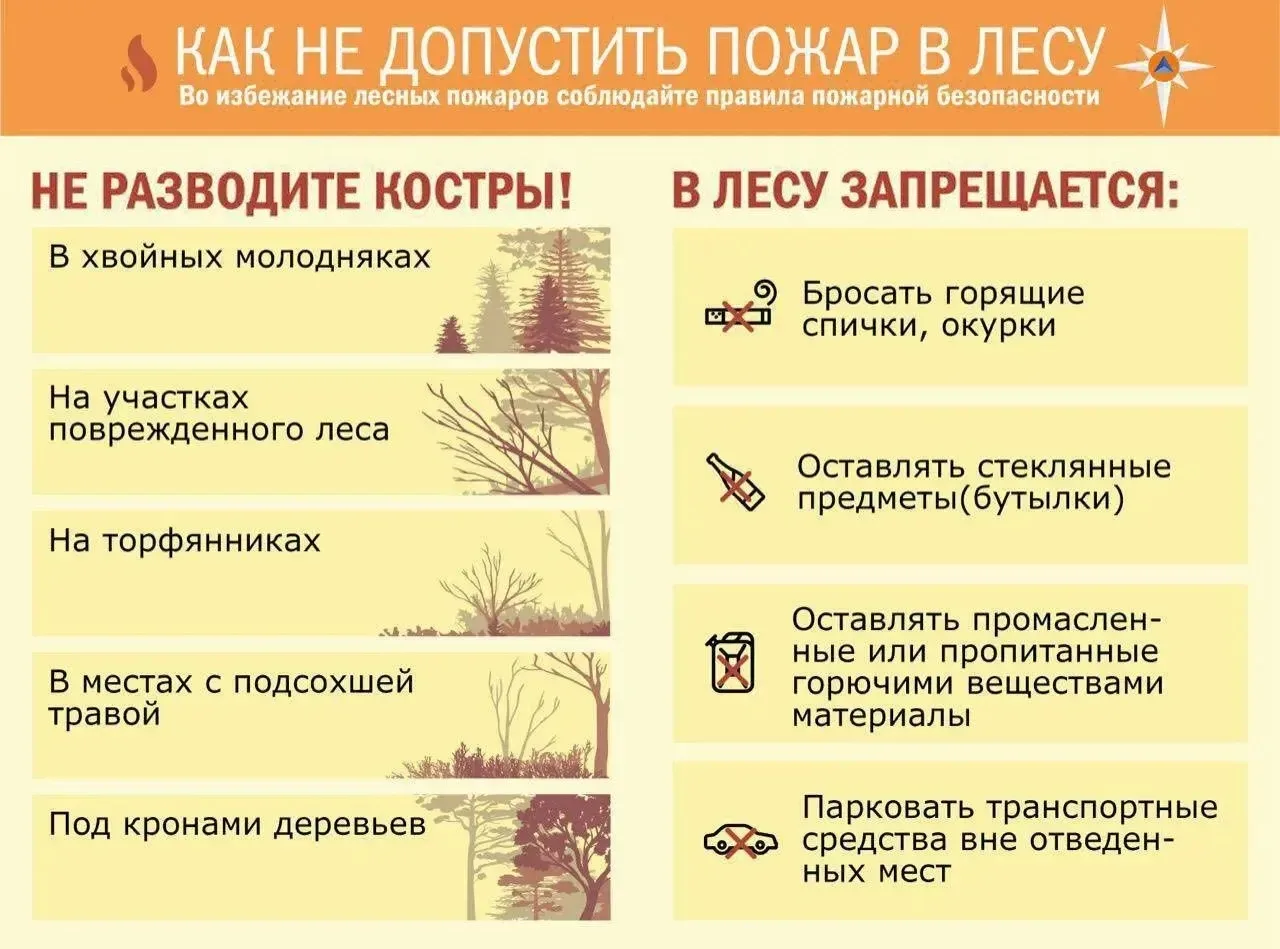 🔥 Как не допустить лесных пожаров в Анапе  Природа курорта уязвима. Одно неверное движение - и огонь