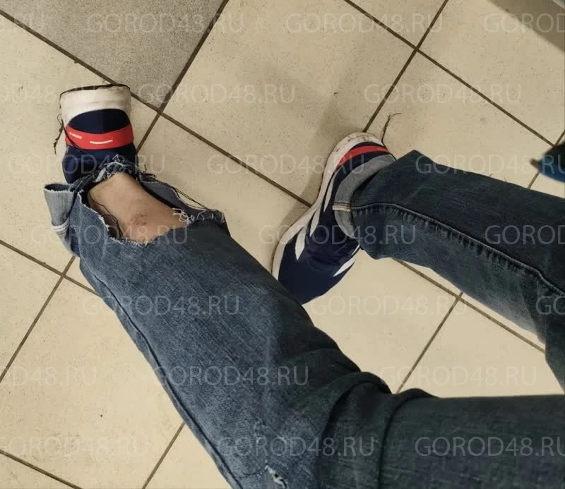 ⚡️ На «Университетском» мужчина с 2-летней дочерью пострадали от нападения бродячих собак  По данным