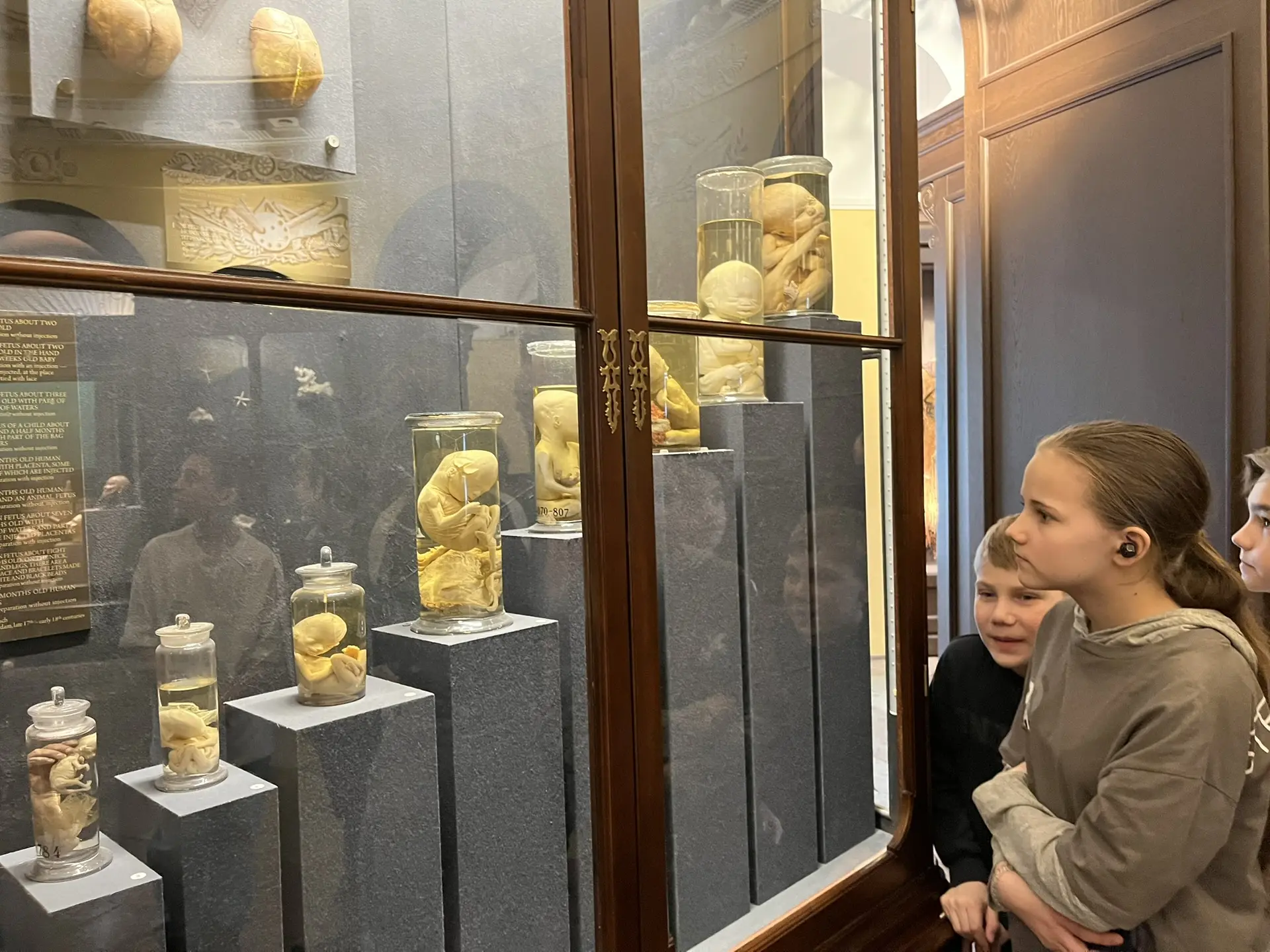 Кунсткамера – все знания о мире в одном здании  18 марта учащиеся 5«Б» класса посетили Музей антропо