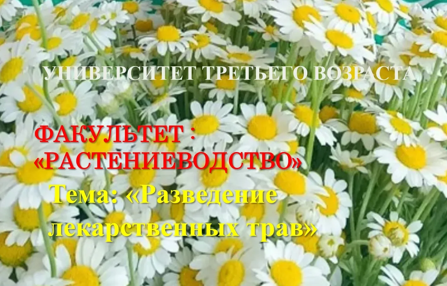 Семинар-практикум "Разведение лекарственных трав" 🌱 прошел в рамках деятельности факул...