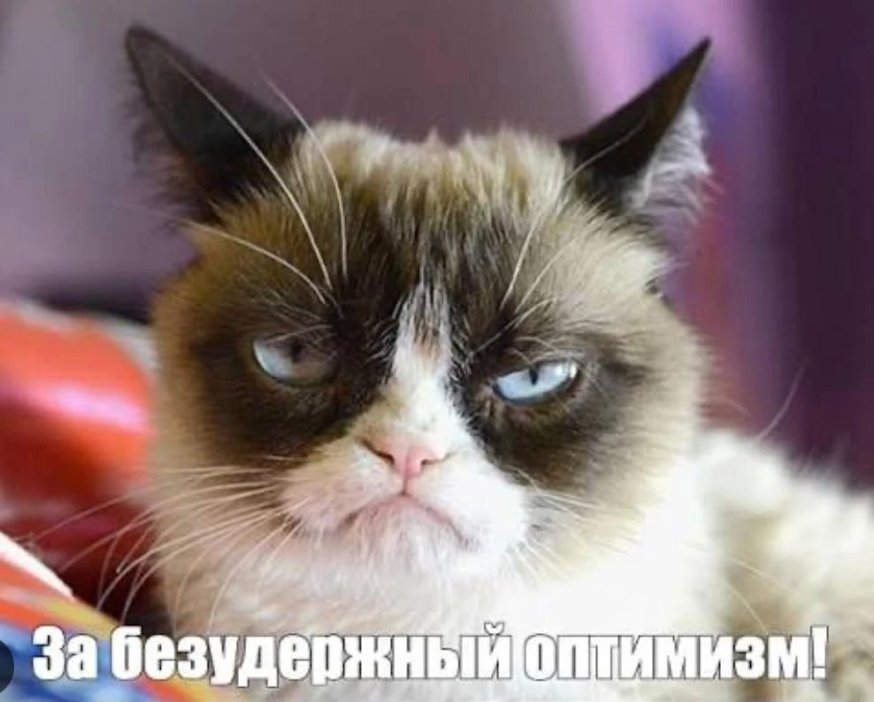 😮😱 В Чехове за четыре года рекордно сократилось число малых и средних предприятий