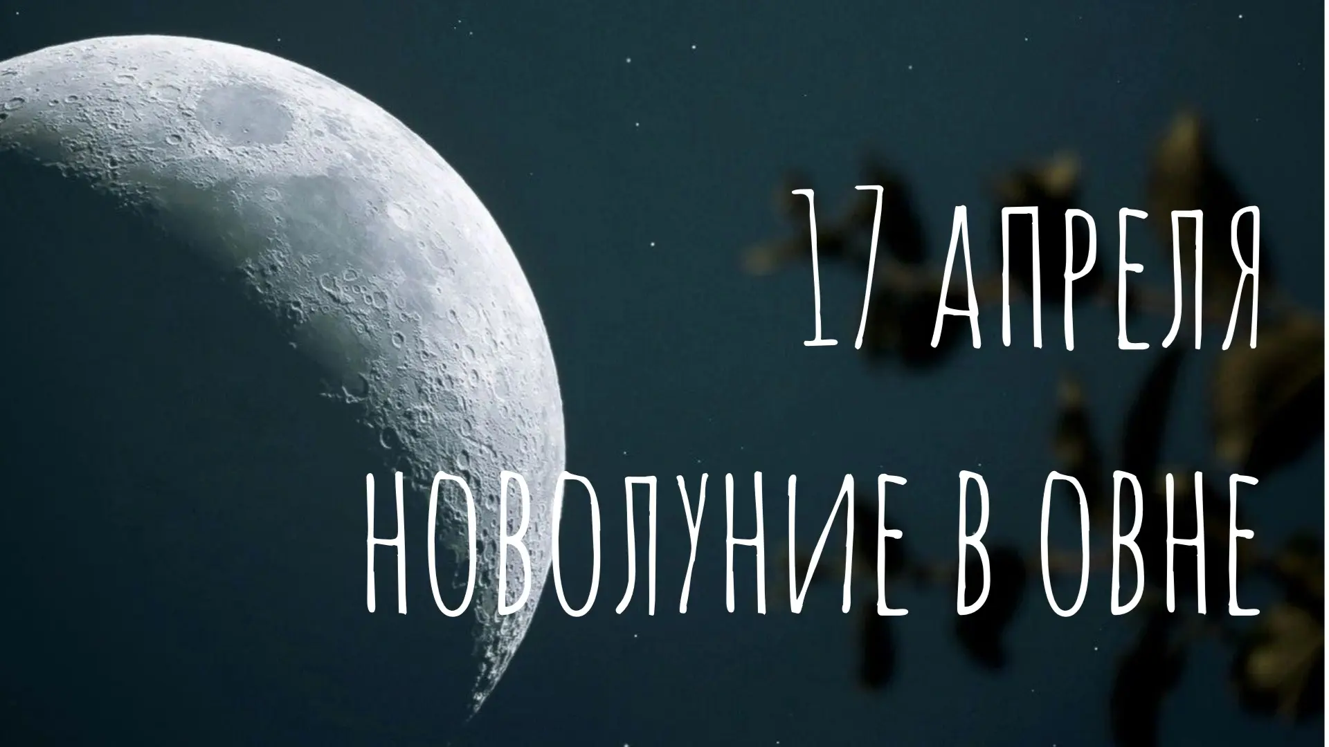 Атмосфера импульсивная и немножко нервная. Хочется всего, сразу и желательно вчера.