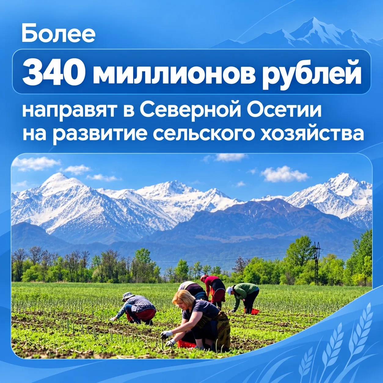 Более 340 миллионов рублей до конца года будет направлено на развитие агропромышленного...