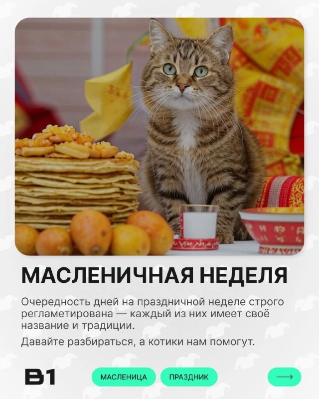 🌞 Старинный русский народный челендж стартовал! Масленичная неделя! Давайте разбираться, когда звать