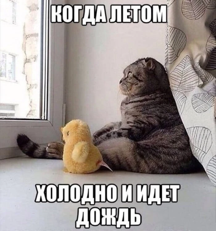 Июль без плюшек: зноя в Кировской области не ждите

По данным метеорологов, температура окажется ниж