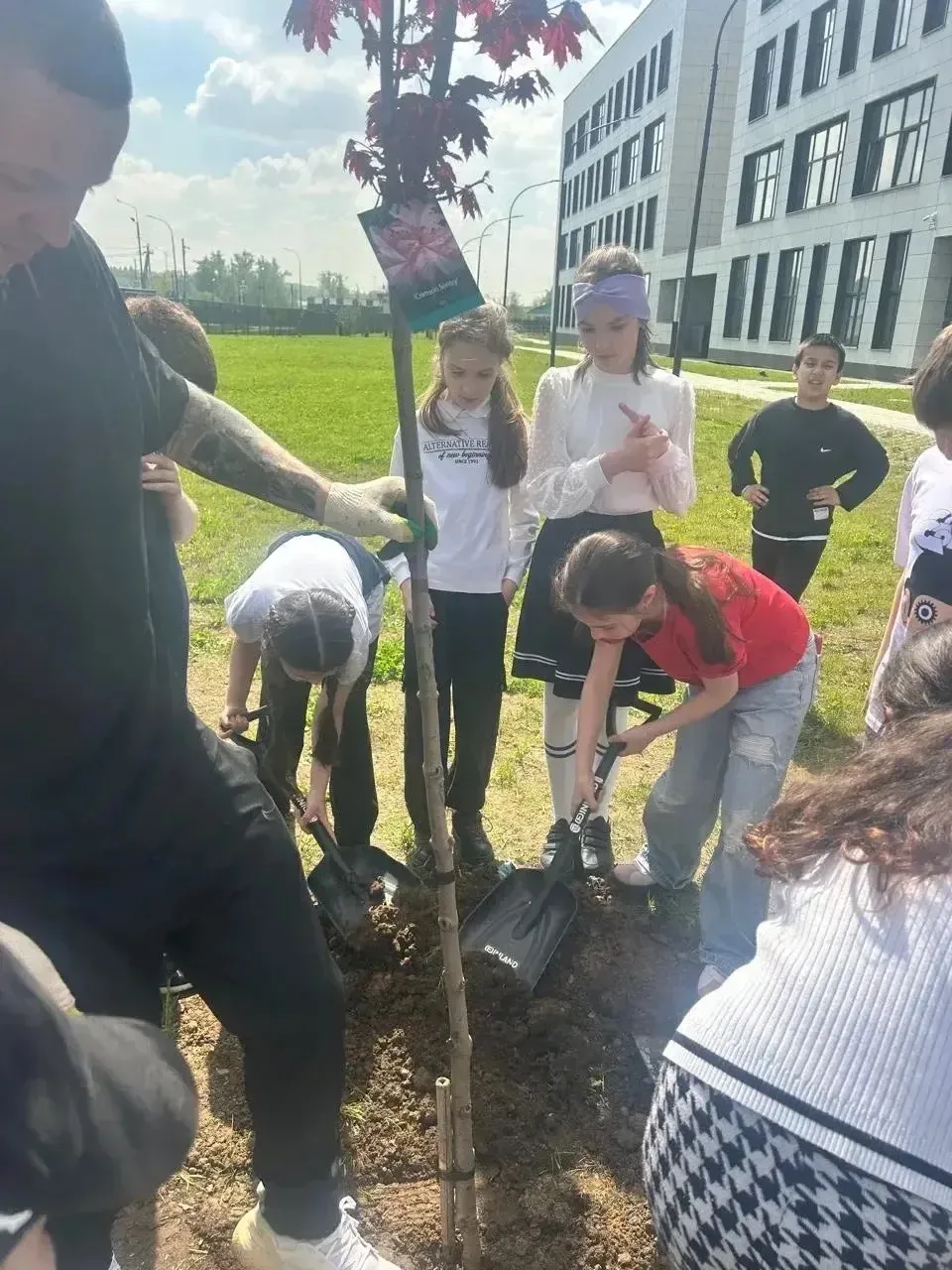 🌳 В нашей школе продолжается замечательная экологическая акция «Зелёный школьный двор». 3г класс с б