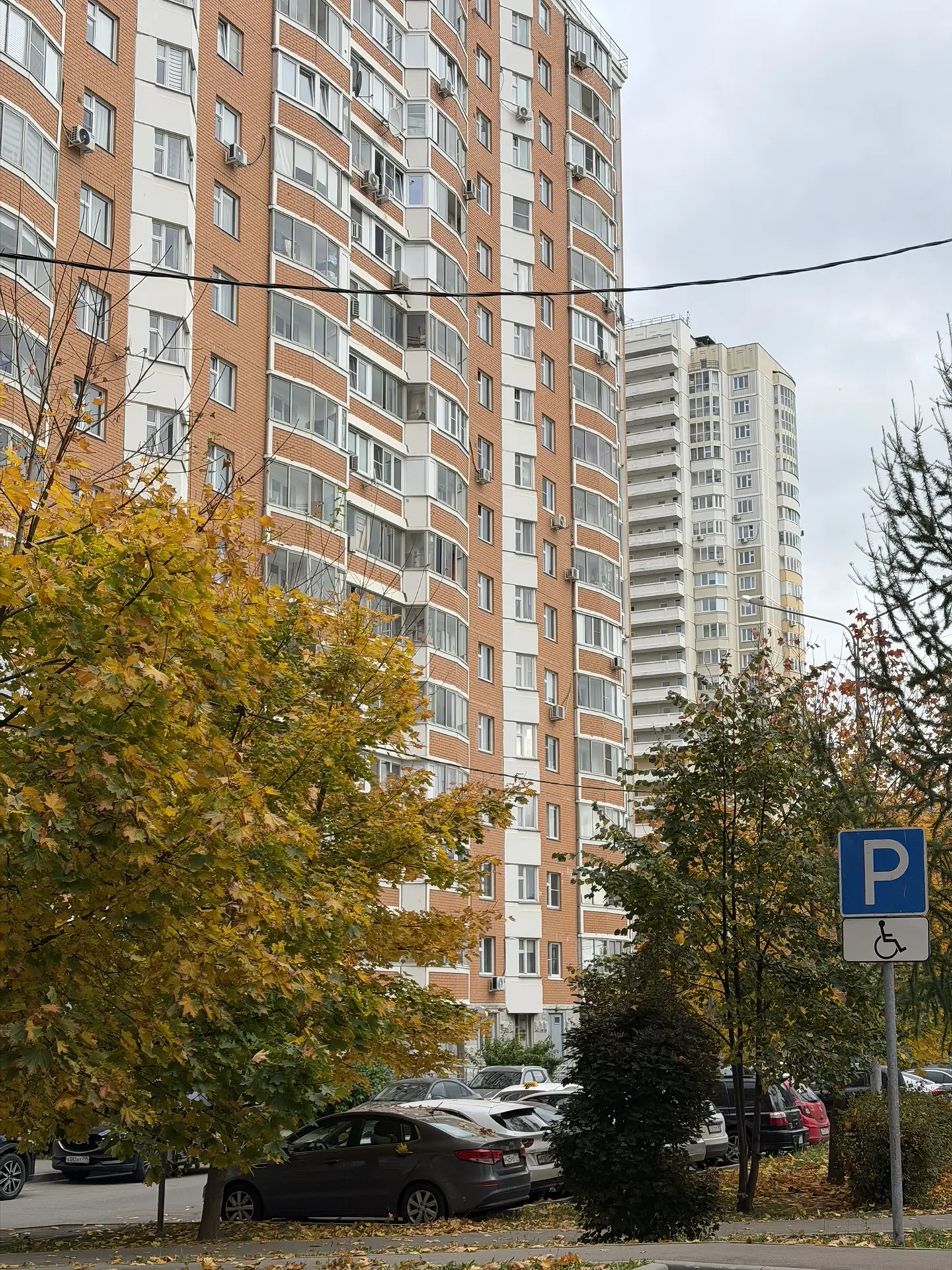Заморозки до −5°C ожидаются в Москве и Подмосковье ночью.