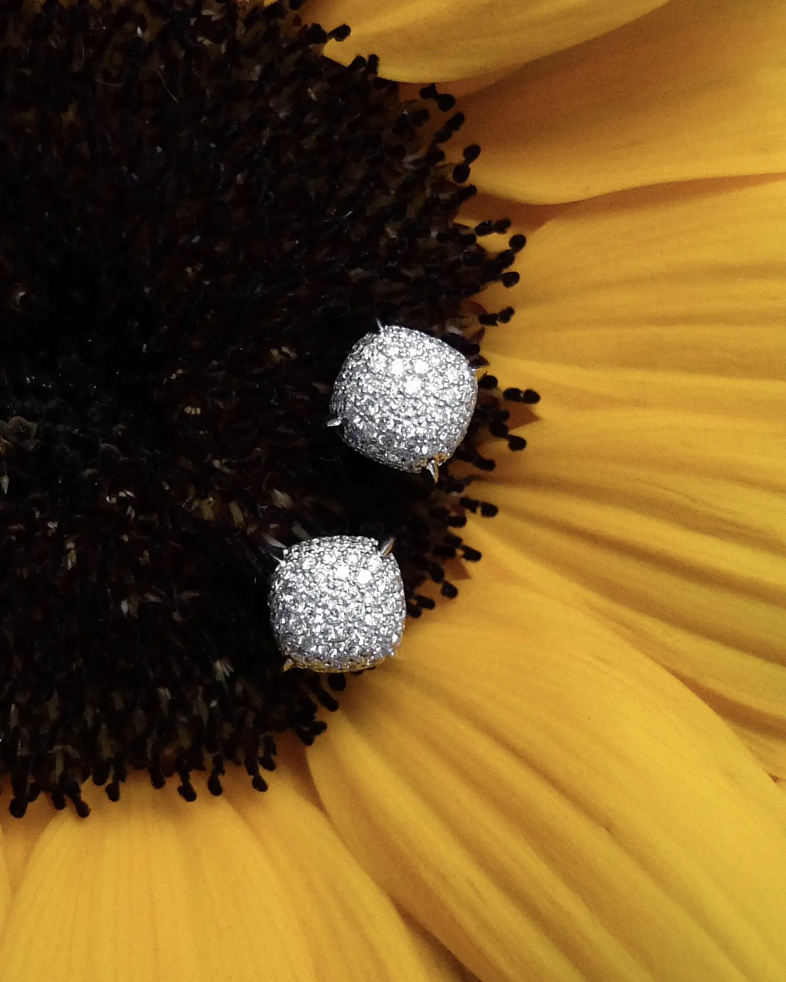 Серьги Tiffany & Co.
из коллекции Paloma Picasso 😍

Характеристики:
✨ Металл: Белое золото, 750 про