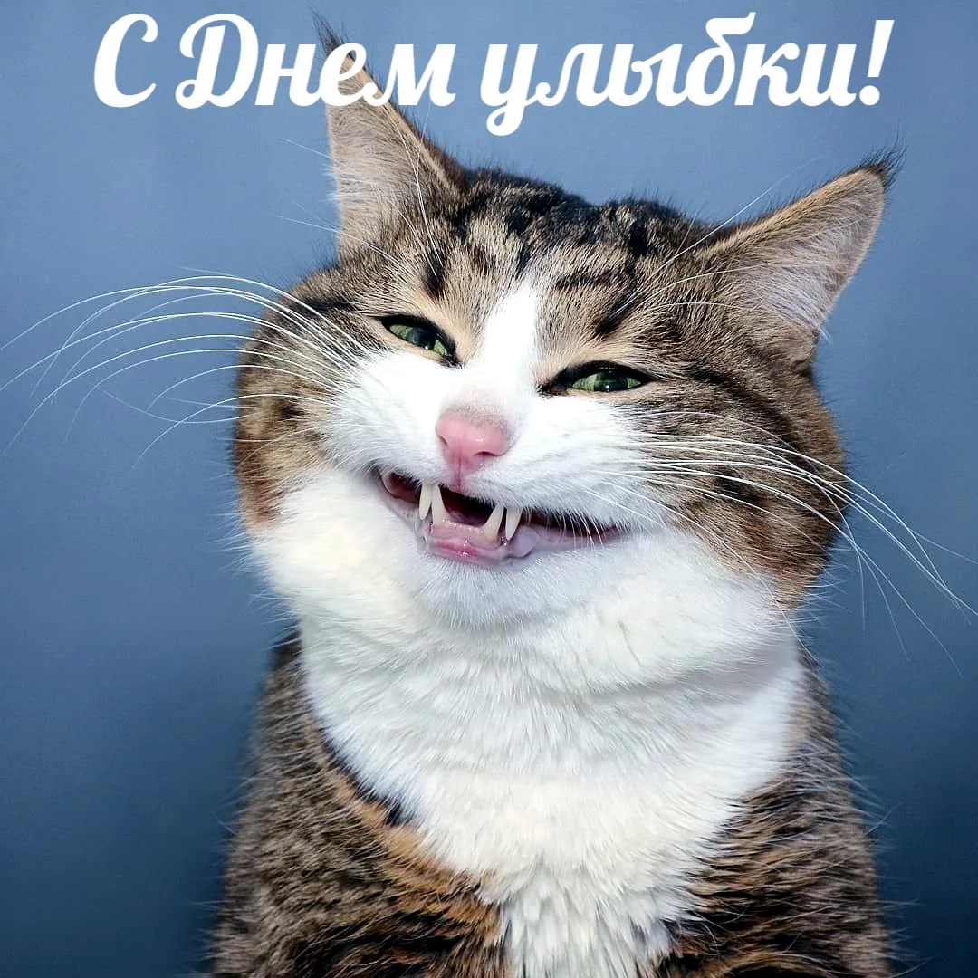 «Умное лицо — это еще не признак ума. Все глупости на земле делаются именно с этим выра...