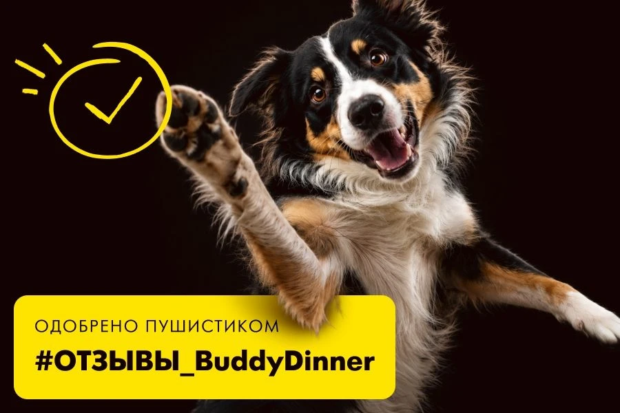 Мы гордимся вашими оценками, свежие отзывы о кормах BUDDY DINNER с маркетплейсов

Расскажите о своём