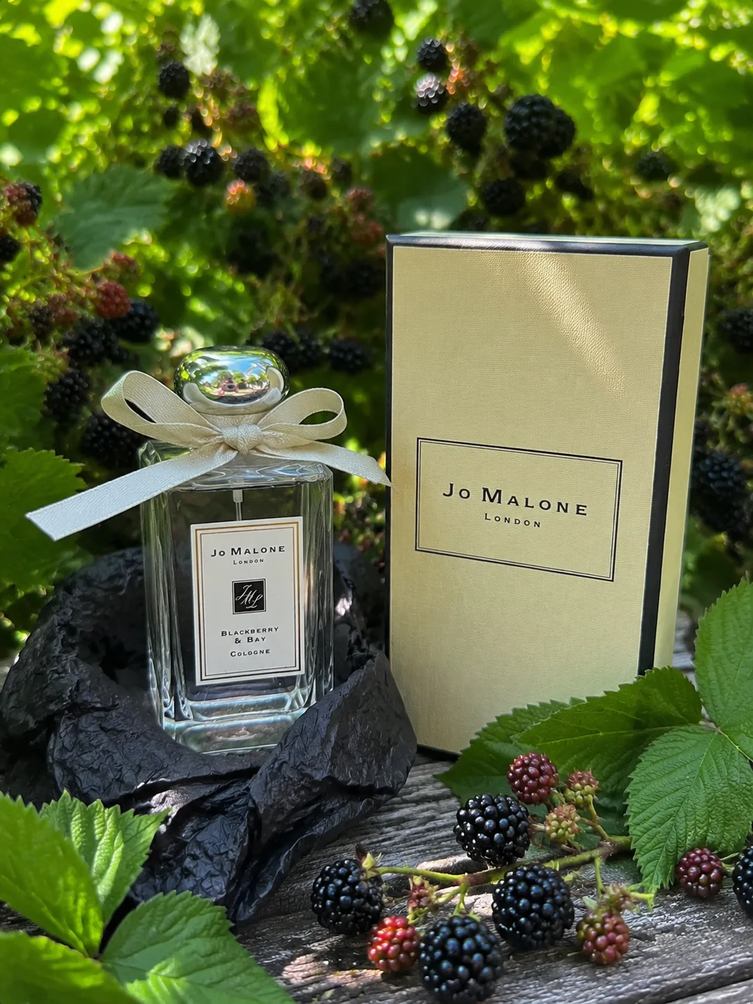 Ккк пахнет Jo Malone Blackberry & Bay — знаменитый аромат, который любят во всём мире?

Живая, терпк