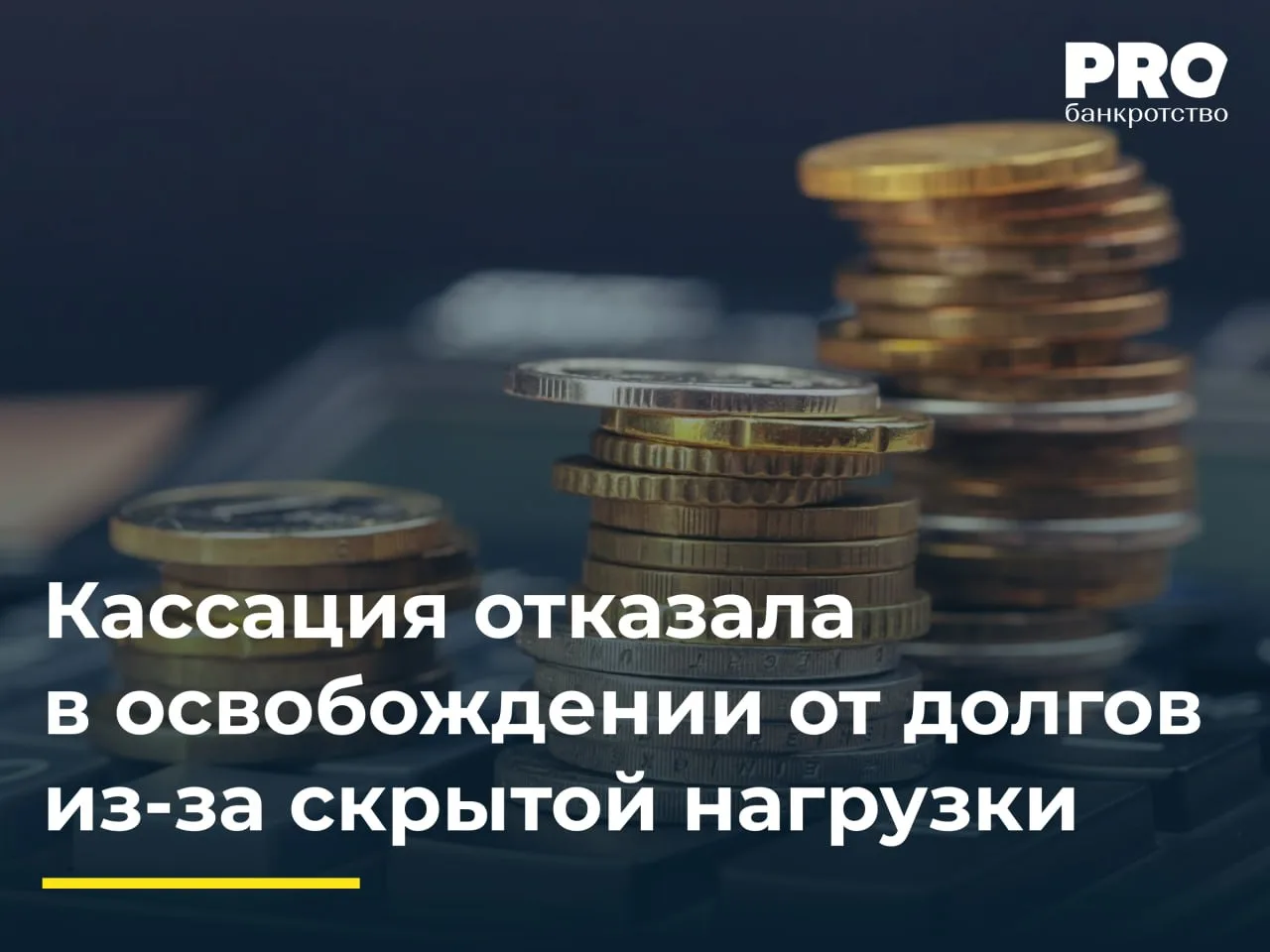 Кассация отказала в освобождении от долгов из-за скрытой нагрузки