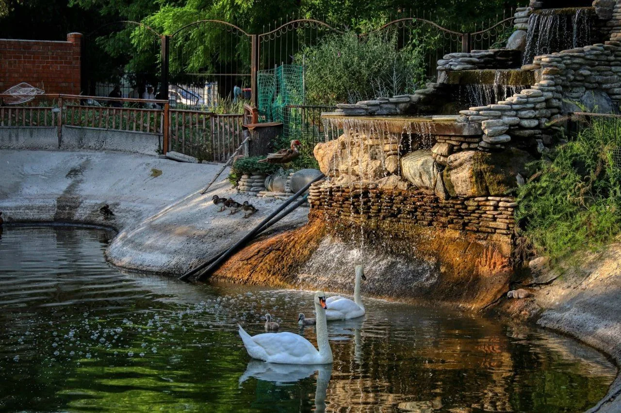 🌳 Парк имени Максима Горького