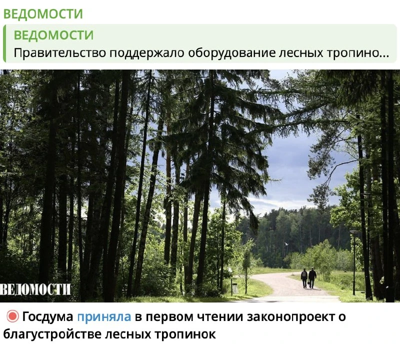 Законопроект, которого нам сейчас крайне не хватало.