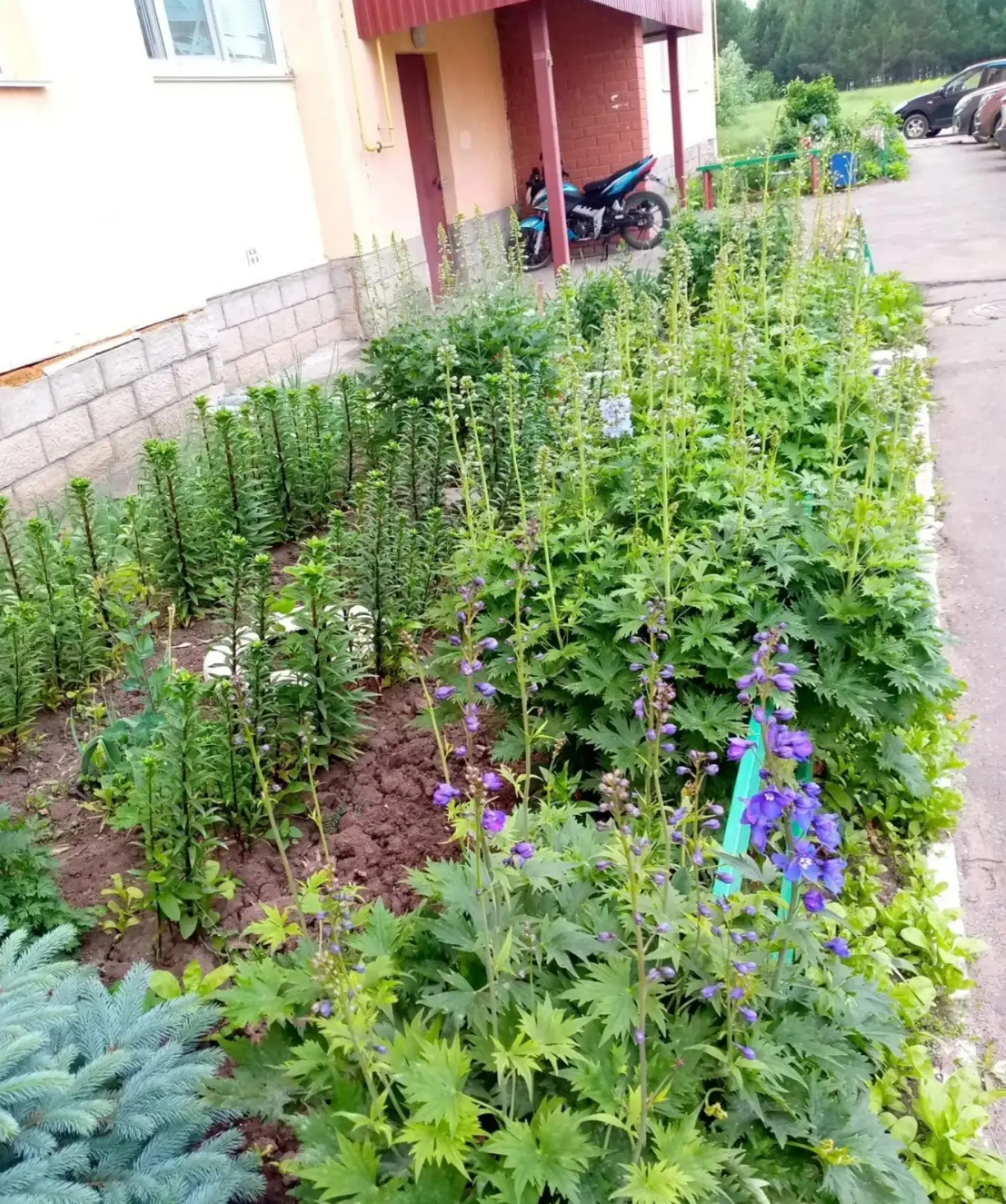 Летнее настроение в деталях🍀🌺🌸