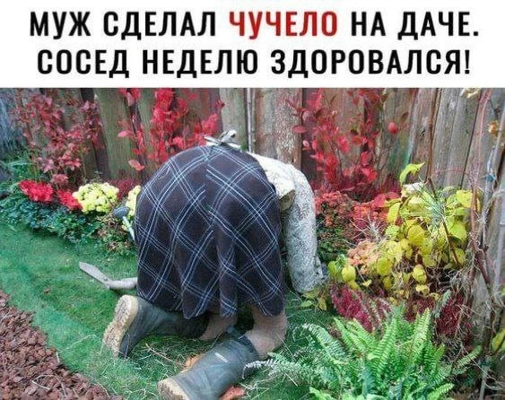 #Юмор

Красивые открытки❤️
