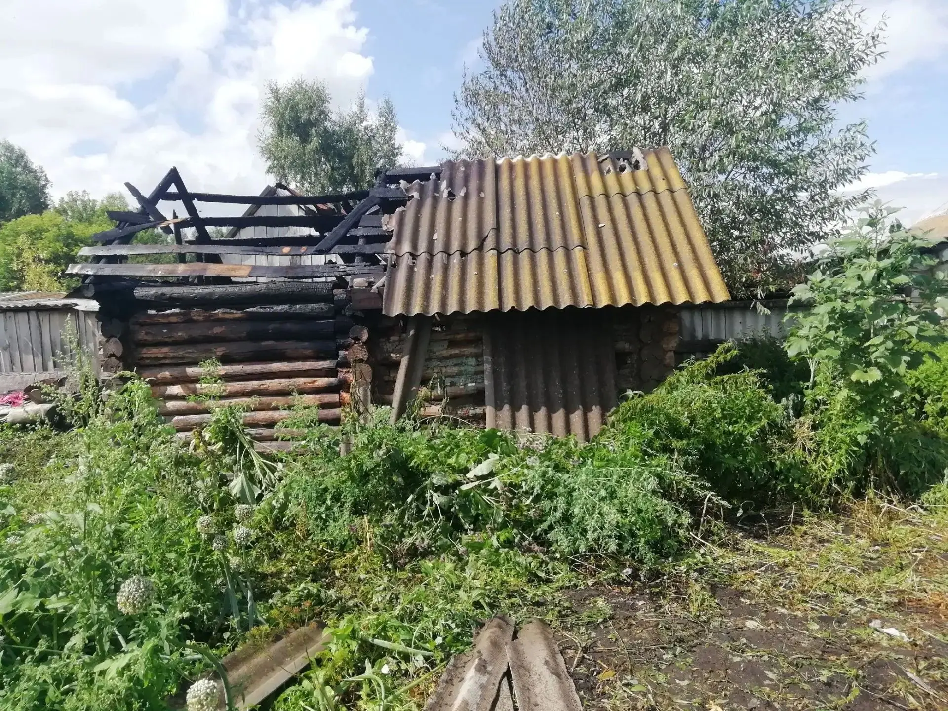 Пожар в деревне Абляскино потушен благодаря общим усилиям

28 июля в 09:00 поступил сигнал о возгора