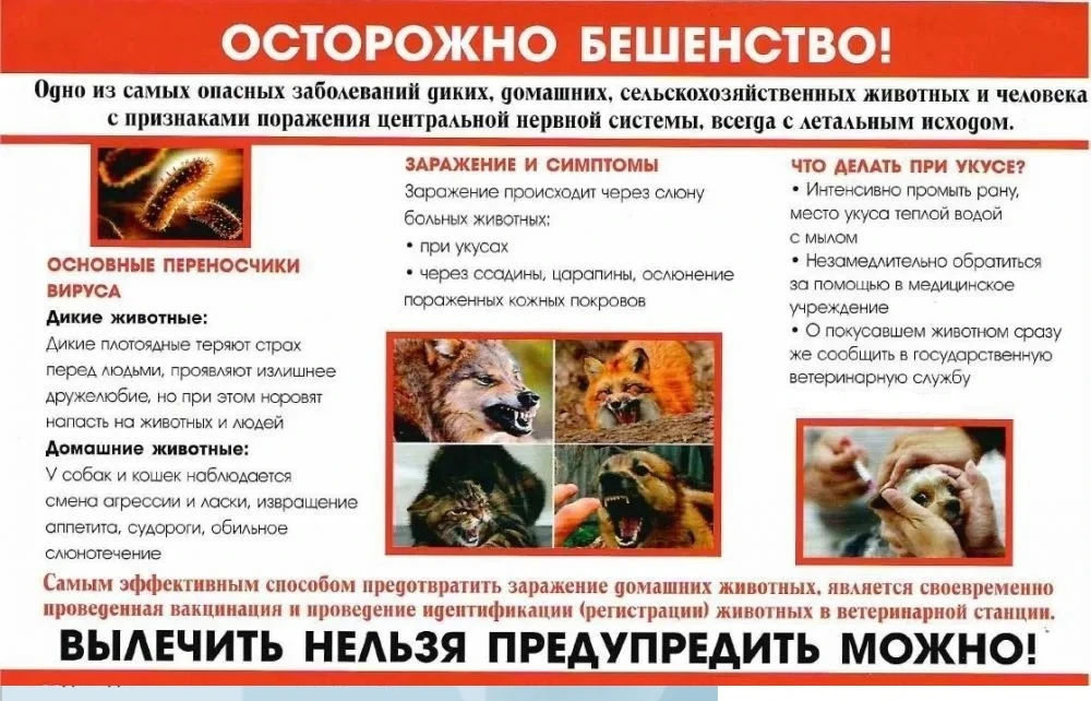 Памятка для населения