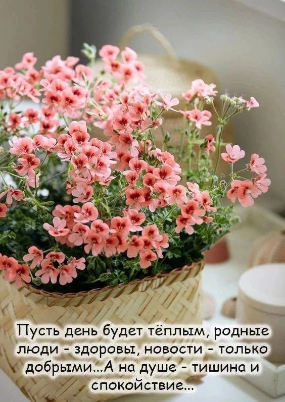 Женские открытки💝