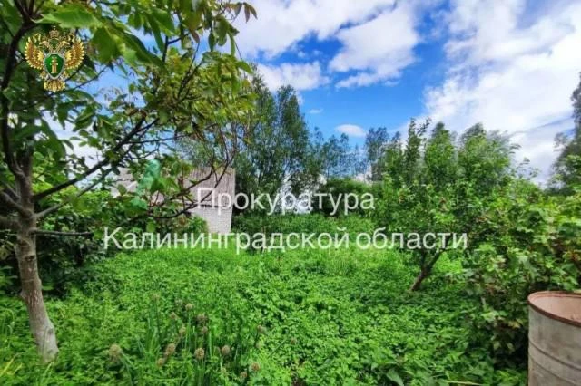 Суд вернул в госсобственность участок на берегу Куршского залива.