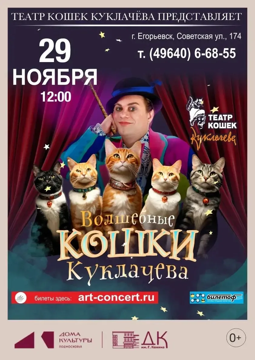 💥Фееричный спектакль, созданный младшим сыном народного артиста Юрия Куклачева и предс...