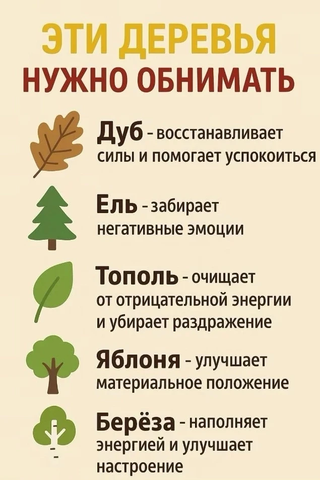 🌳🌲 В современном динамичном , цивилизованном мире многих удивляет, зачем люди обнимаю...