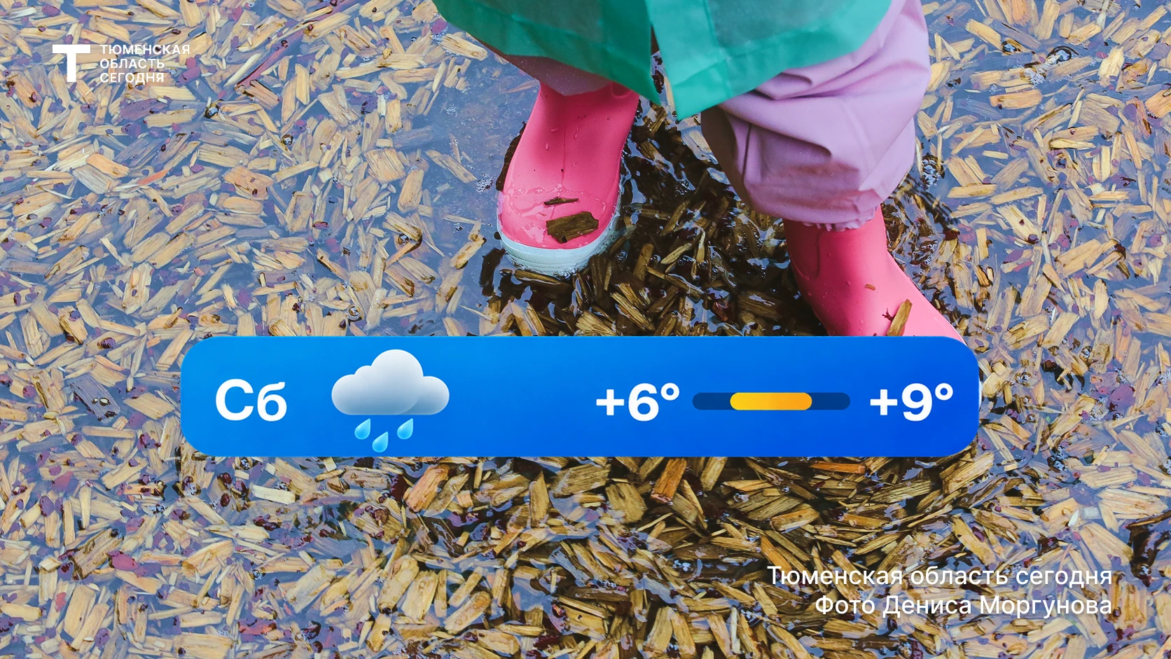 ☔️ Кажется, осень включила режим «Дожди»