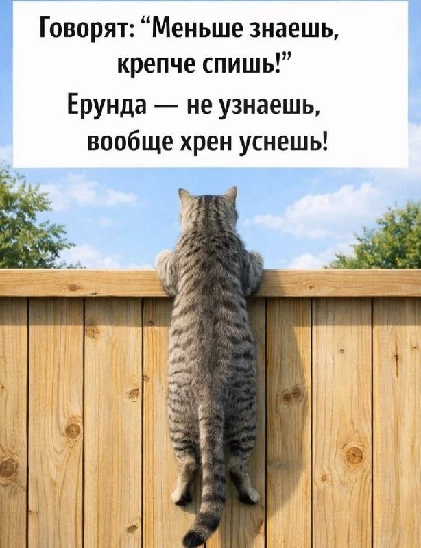 🌼Прикольные открытки