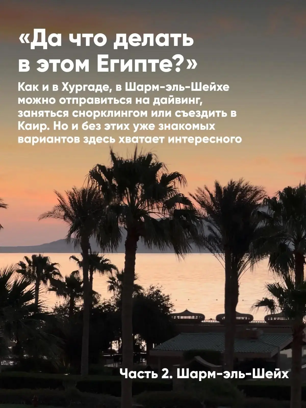 «Да что делать в этом Египте?»