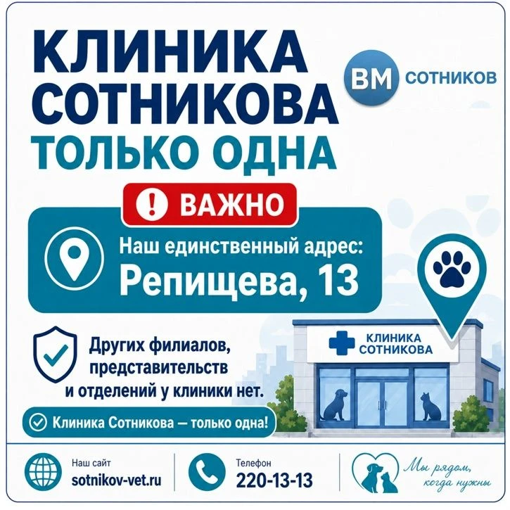 Уважаемые клиенты!