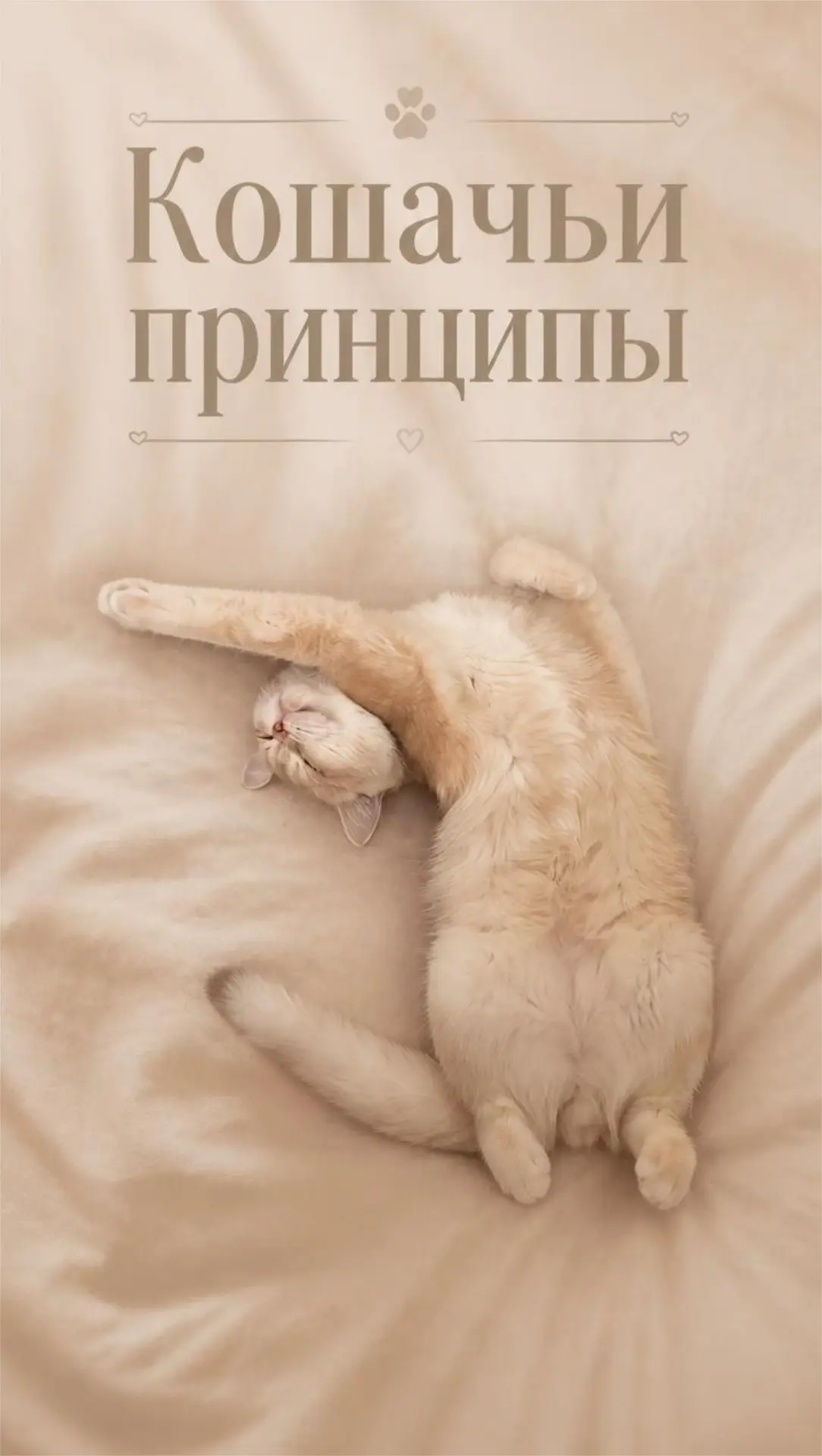 Так и живем 😀🤷🏻‍♀️
