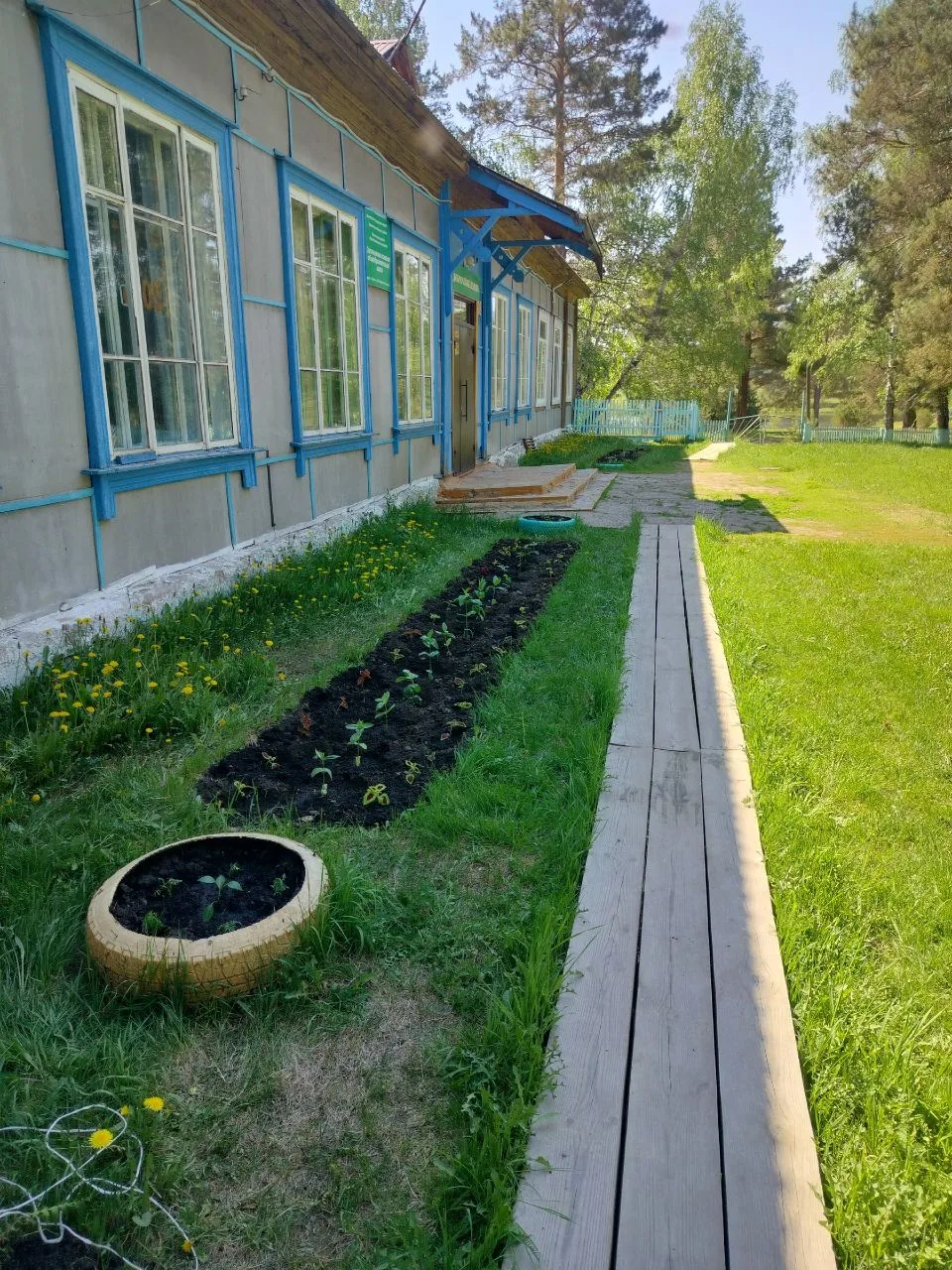 Для школьников лето — это не только пора отдыха, но и время работы на пришкольном участке. Совместны