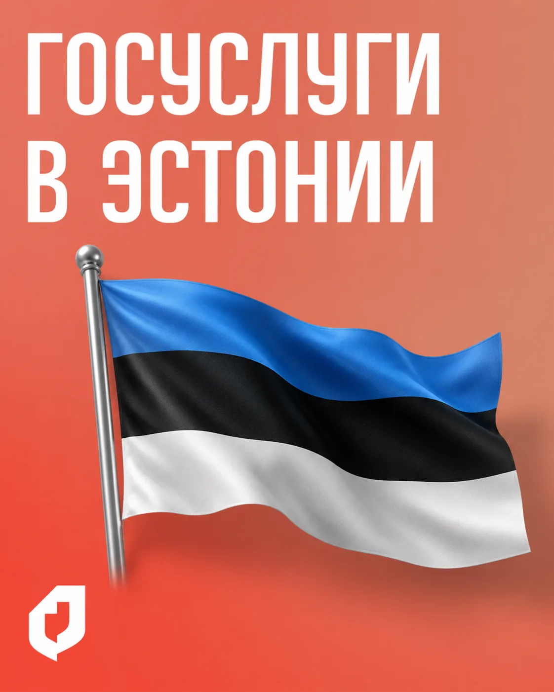 🇪🇪 Как работают государственные услуги в Эстонии?

В Эстонии нет привычной для нас сети МФЦ, так к