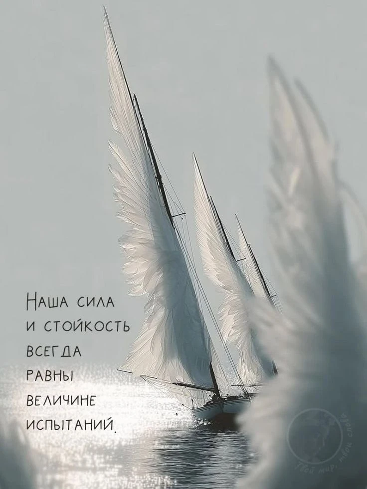🥰 Оставляйте реакции, если понравилась открытка и делитесь с близкими ❤️

Лучшие Открытки в MAX