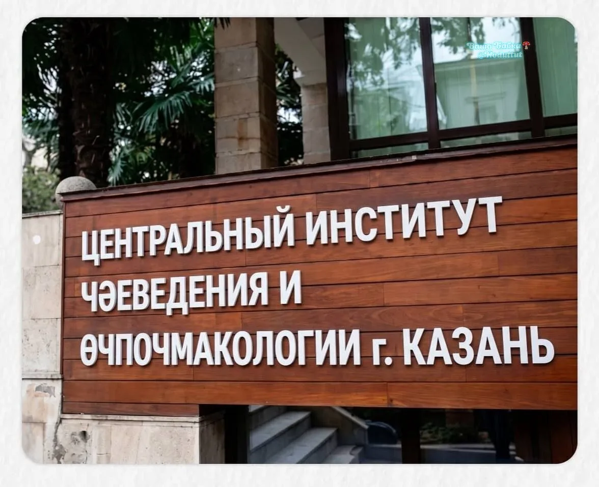 Факультет чебурекоедения и самсаглодательства есть? 😁